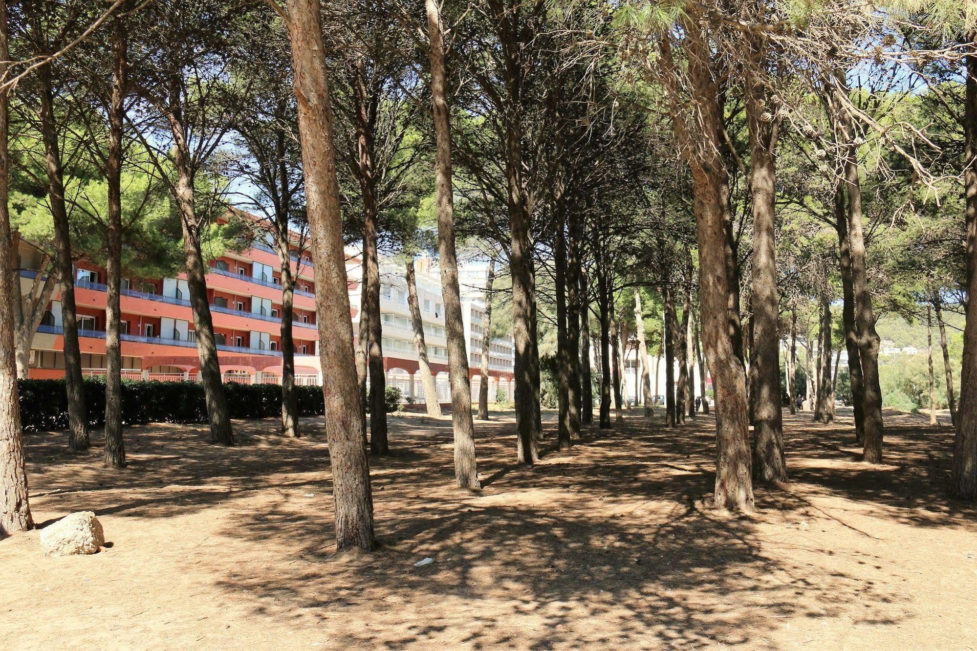 Rvapartaments La Pineda L'Estartit Dış mekan fotoğraf
